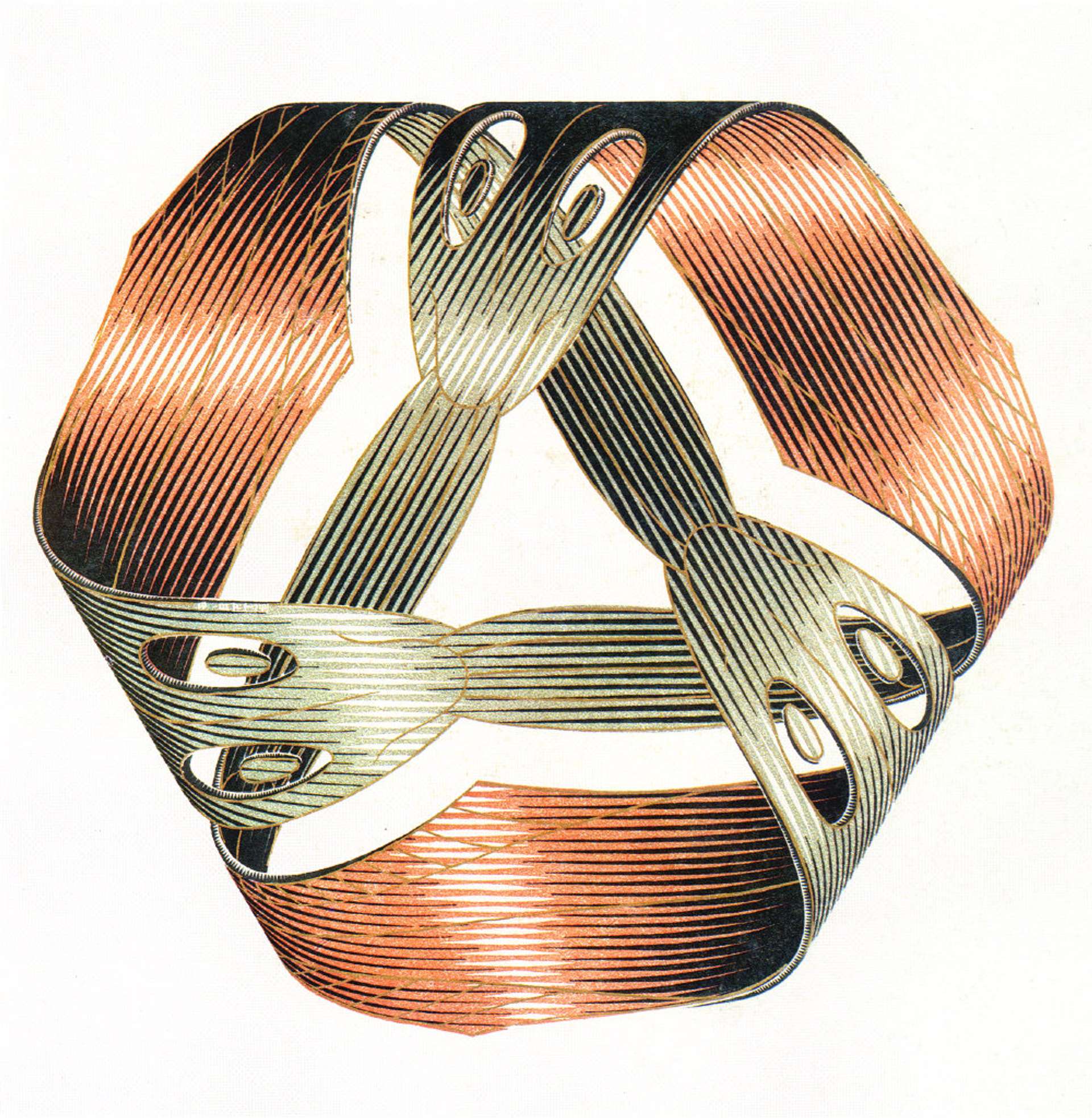 Moebius Strip I, M.C. Escher